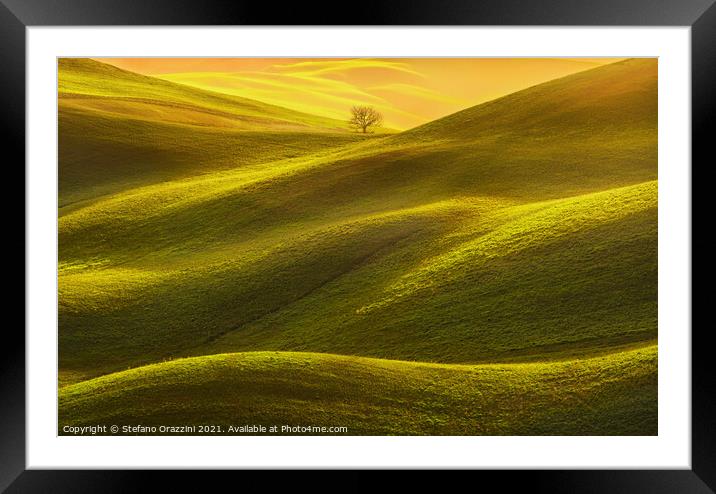 Lonely Tree in the Light Framed Mounted Print by Stefano Orazzini