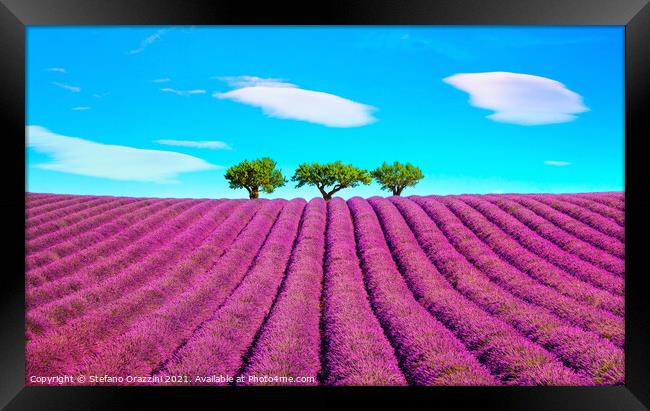 Lavender, Clouds and Trees Framed Print by Stefano Orazzini