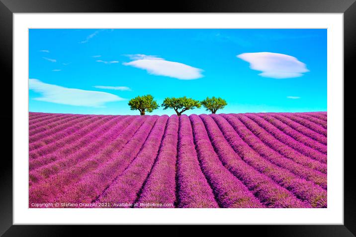 Lavender, Clouds and Trees Framed Mounted Print by Stefano Orazzini