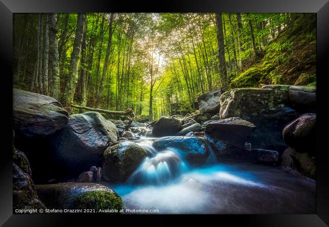 Stream waterfall inside a forest. Apennines, Italy Framed Print by Stefano Orazzini