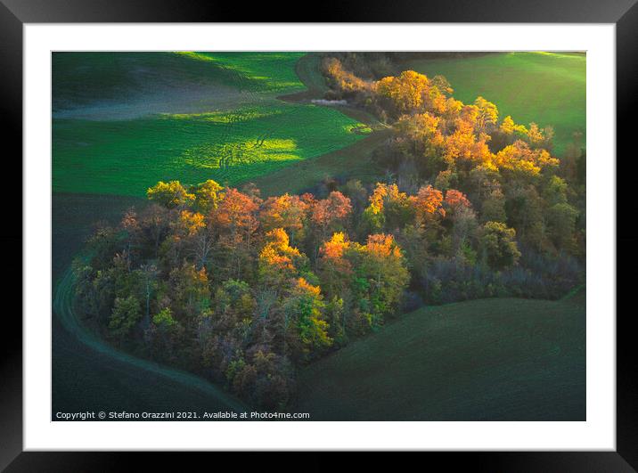 Heart shaped woods in autumn. Tuscany Framed Mounted Print by Stefano Orazzini