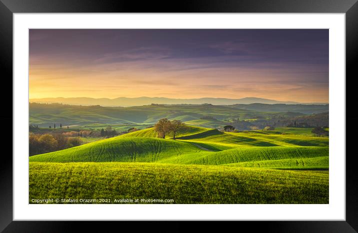 Two Trees, springtime in Tuscany, Pienza, Val d'Orcia Framed Mounted Print by Stefano Orazzini