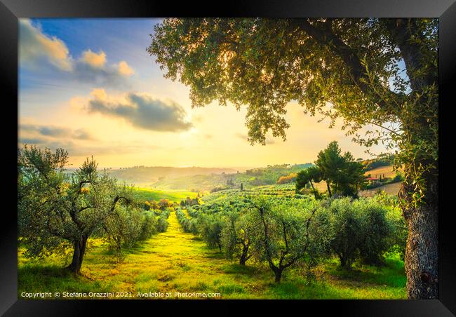 Maremma panorama and olive trees at sunset. Framed Print by Stefano Orazzini