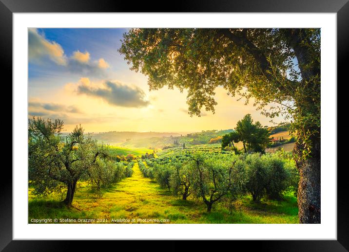 Maremma panorama and olive trees at sunset. Framed Mounted Print by Stefano Orazzini