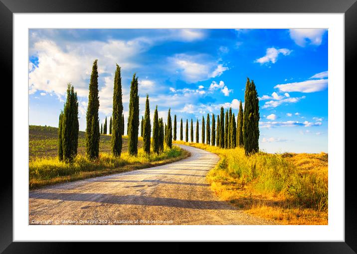 Cypress trees and rural road, Tuscany Framed Mounted Print by Stefano Orazzini