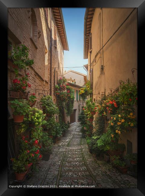 Spello picturesque street and plants. Umbria, Italy. Framed Print by Stefano Orazzini