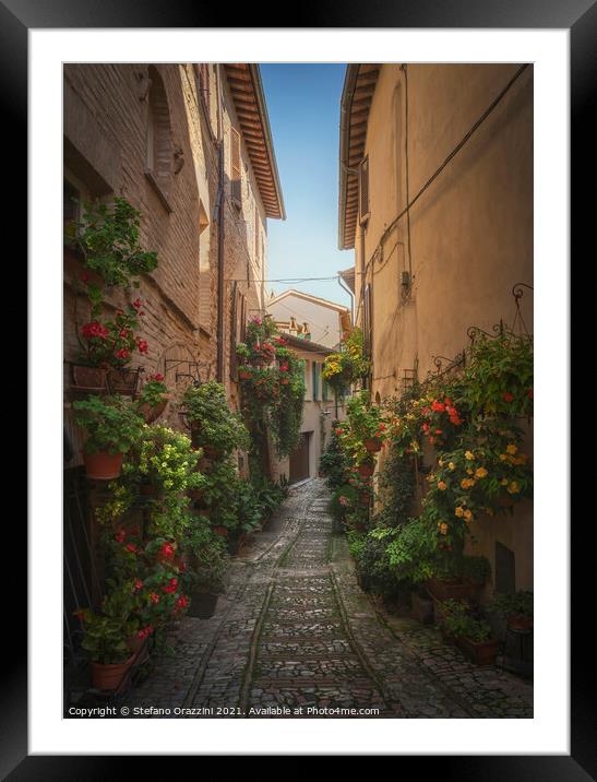 Spello picturesque street and plants. Umbria, Italy. Framed Mounted Print by Stefano Orazzini
