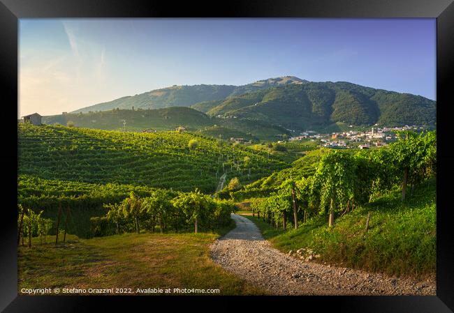 Vineyards and road. Prosecco Hills, Unesco Site. Valdobbiadene,  Framed Print by Stefano Orazzini