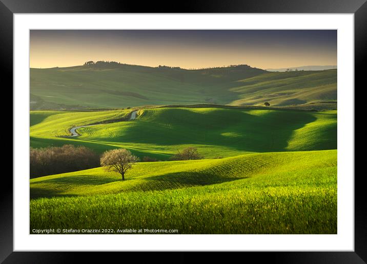 Springtime in Tuscany, rolling hills and trees. Pienza, Italy Framed Mounted Print by Stefano Orazzini