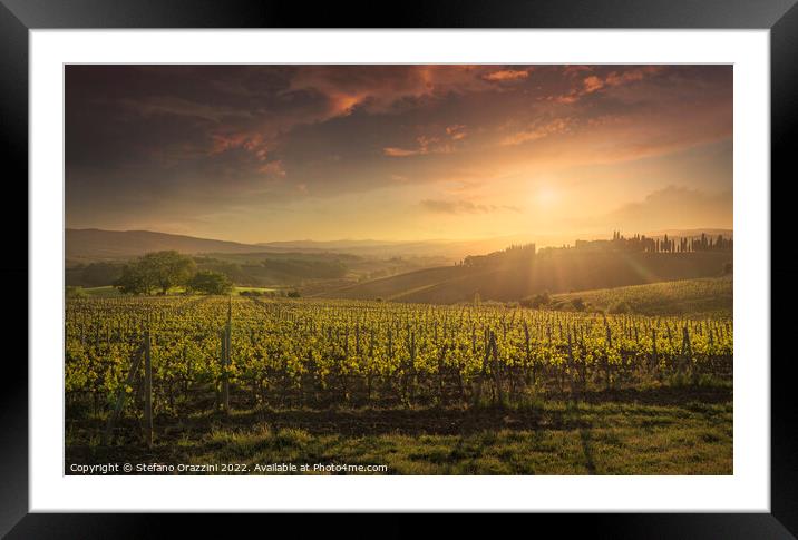 Montalcino vineyards at sunset. Tuscany region, Italy Framed Mounted Print by Stefano Orazzini