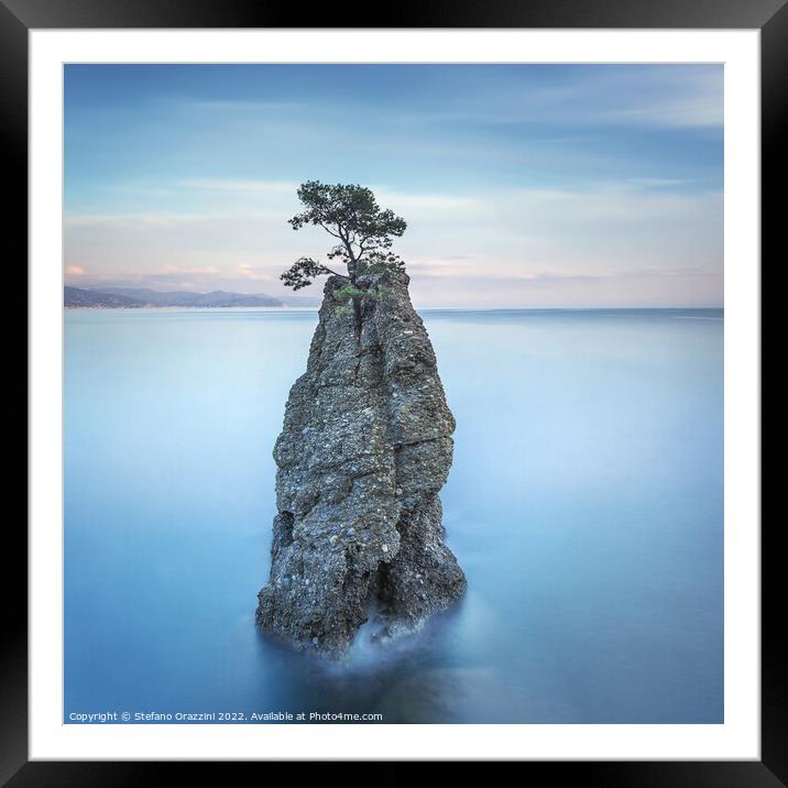Pine tree on the rock. Long exposure. Portofino, Italy Framed Mounted Print by Stefano Orazzini
