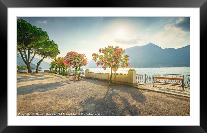 Bench and trees on the lakefront of Lake Como. Bellagio, Italy Framed Mounted Print by Stefano Orazzini