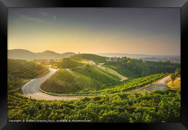Vineyards and a road at sunrise. Prosecco Hills, Unesco Site. Framed Print by Stefano Orazzini