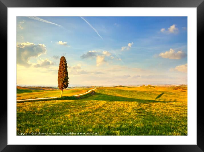 Landscape of Tuscany, cypress tree and a road. Siena Framed Mounted Print by Stefano Orazzini