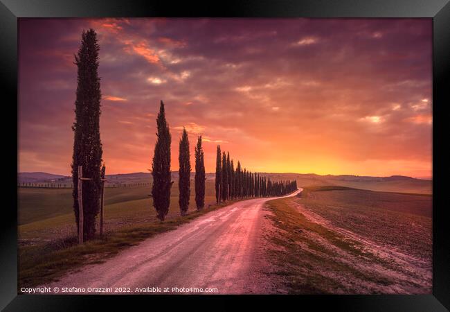 Cypress tree lined road in the countryside of Tuscany, Italy Framed Print by Stefano Orazzini