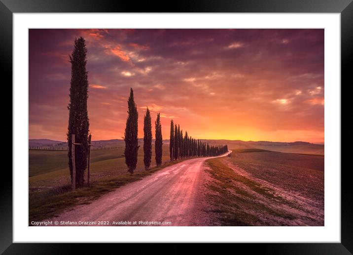 Cypress tree lined road in the countryside of Tuscany, Italy Framed Mounted Print by Stefano Orazzini