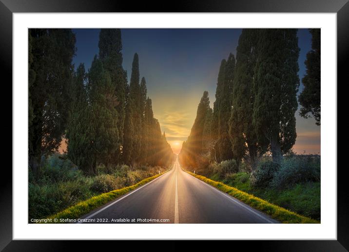 Bolgheri famous cypresses tree straight boulevard. Tuscany Framed Mounted Print by Stefano Orazzini