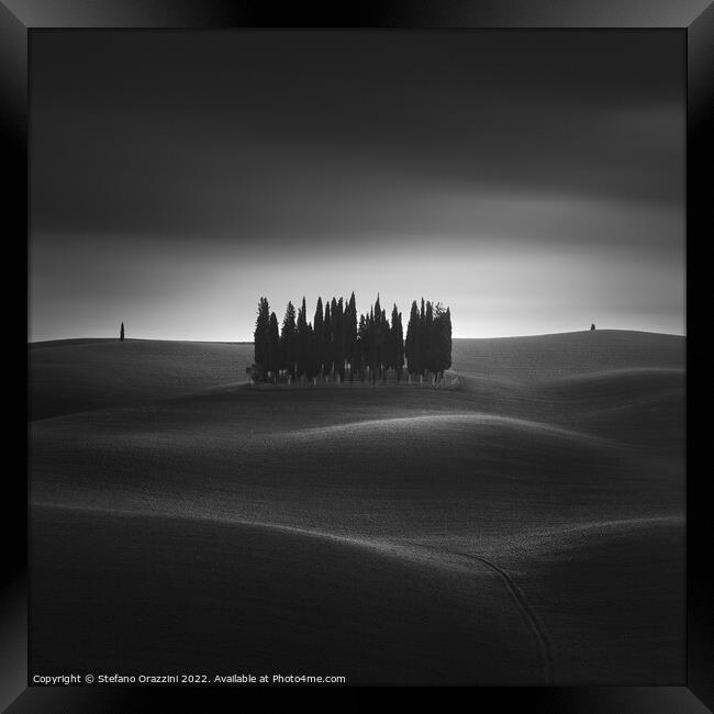 Majestic Cypresses of Val dOrcia Framed Print by Stefano Orazzini
