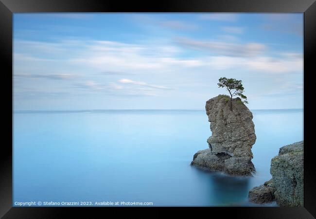 Stone pine on the rock. Long exposure. Italy Framed Print by Stefano Orazzini