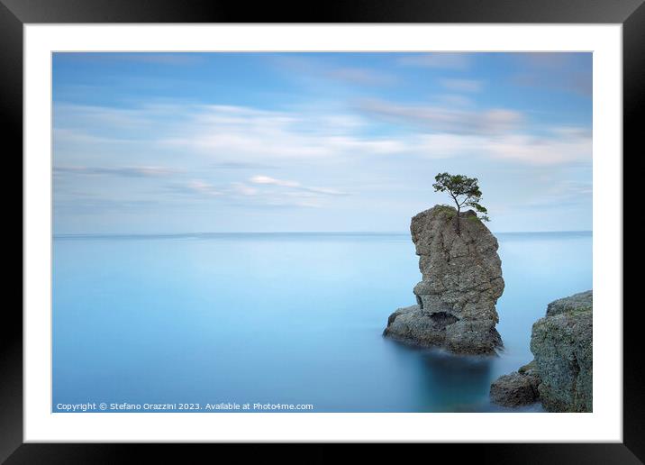 Stone pine on the rock. Long exposure. Italy Framed Mounted Print by Stefano Orazzini