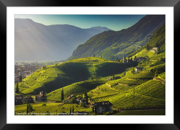 Vineyards view in Santa Maddalena, Bolzano. South Tyrol Framed Mounted Print by Stefano Orazzini