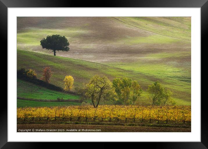 Autumn in Tuscany, trees and vineyard. Castellina in Chianti. Framed Mounted Print by Stefano Orazzini