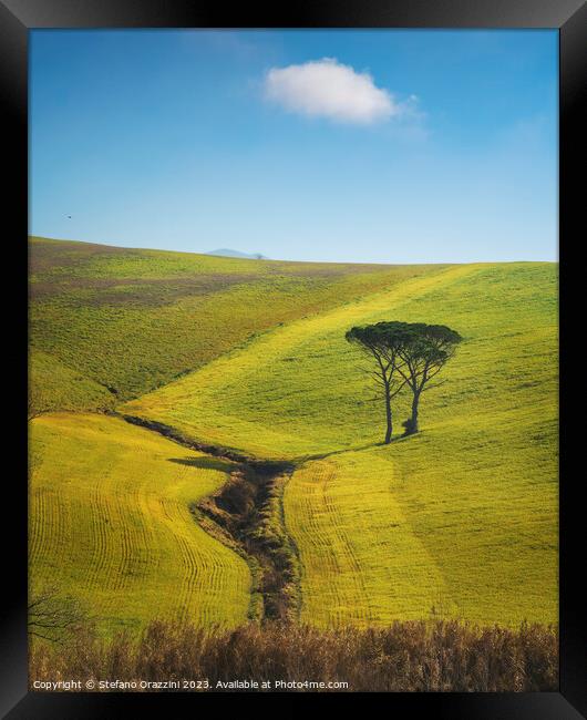 Two stone pines and a cloud. Countryside landscape in Santa Luce Framed Print by Stefano Orazzini