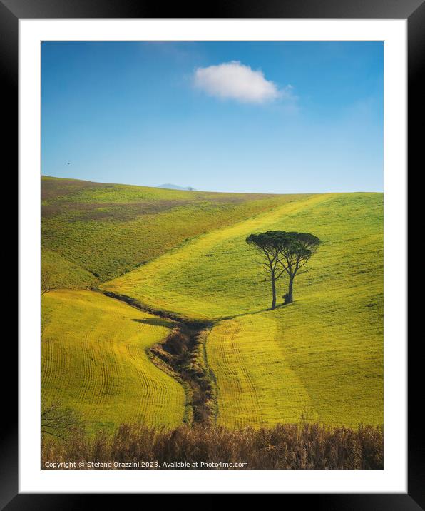 Two stone pines and a cloud. Countryside landscape in Santa Luce Framed Mounted Print by Stefano Orazzini