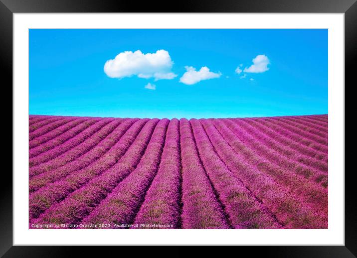 Lavender flower field and some clouds. Framed Mounted Print by Stefano Orazzini