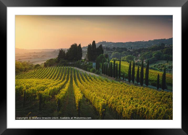 Maremma landscape. Vineyards at sunset. Tuscany Framed Mounted Print by Stefano Orazzini