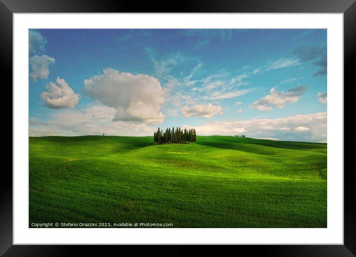 The Cipressini. Cypress Groove in Val d'Orcia. Tuscany, Italy Framed Mounted Print by Stefano Orazzini