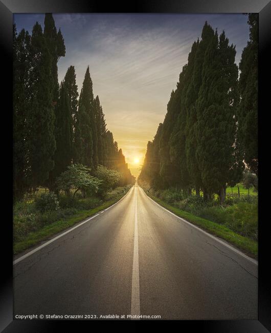 The avenue of Bolgheri and the sun in the middle Framed Print by Stefano Orazzini