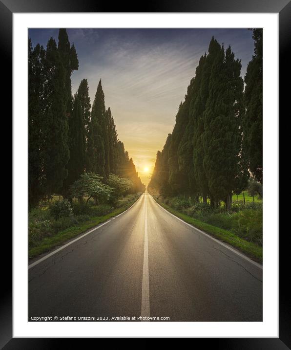 The avenue of Bolgheri and the sun in the middle Framed Mounted Print by Stefano Orazzini