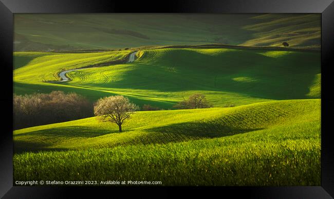 Spring in Tuscany, rolling hills and trees. Pienza, Val d'Orcia Framed Print by Stefano Orazzini