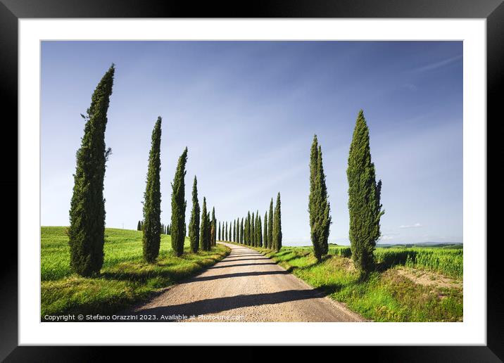 Cypress Trees and gravel road in Tuscany, Italy Framed Mounted Print by Stefano Orazzini