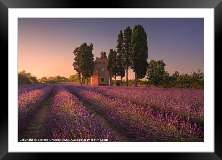 Lavender field, cypress trees and Oratorio di San Guido church.  Framed Mounted Print by Stefano Orazzini