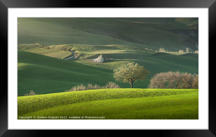 Spring in Tuscany, rolling hills and trees. Pienza, Italy Framed Mounted Print by Stefano Orazzini