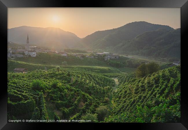 Prosecco Hills, vineyards and Guia village at sunrise. Italy Framed Print by Stefano Orazzini