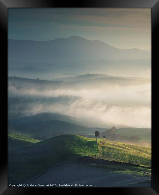 Foggy landscape in Volterra and a lonely tree. Tuscany, Italy Framed Print by Stefano Orazzini