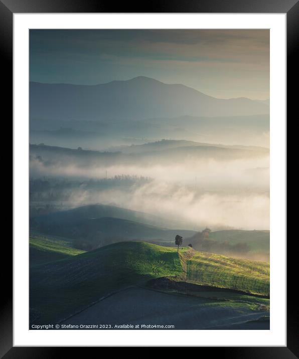 Foggy landscape in Volterra and a lonely tree. Tuscany, Italy Framed Mounted Print by Stefano Orazzini