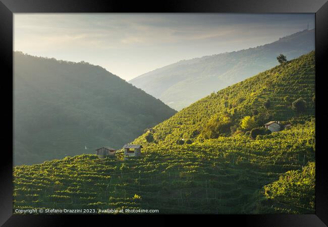 Vineyards and a few small rural cottages on the Prosecco hills.  Framed Print by Stefano Orazzini