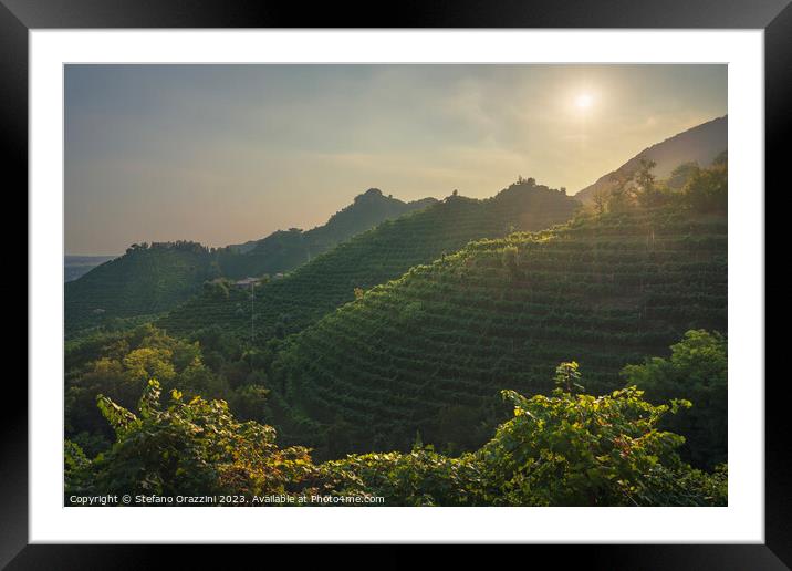 Vineyards of Prosecco Hills at sunset. Italy Framed Mounted Print by Stefano Orazzini