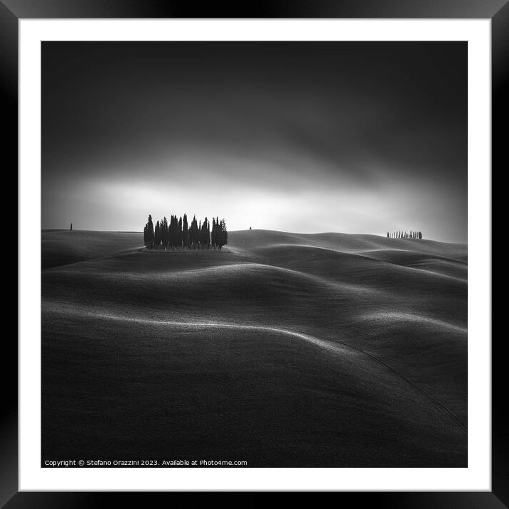 The iconic cypresses of the Val d'Orcia. Tuscany, study II Framed Mounted Print by Stefano Orazzini