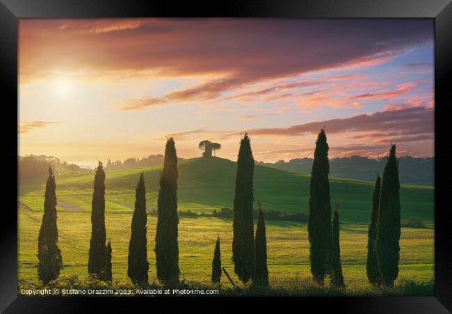 Landscape in Maremma. Cypresses and Rolling hills. Tuscany Framed Print by Stefano Orazzini