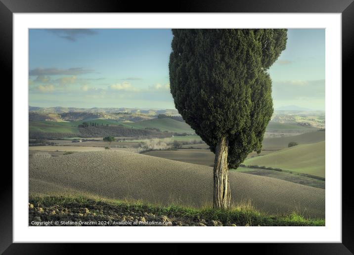 Cypress and pine on the hills of the Crete Senesi. Tuscany Framed Mounted Print by Stefano Orazzini