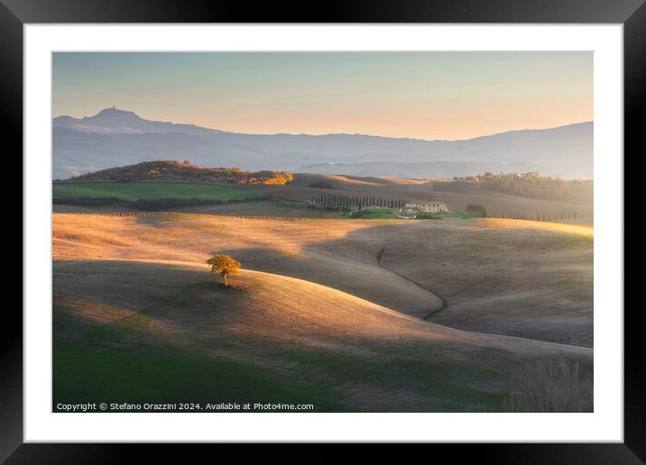 Lonely tree on the hills of Val d'Orcia. Tuscany Framed Mounted Print by Stefano Orazzini