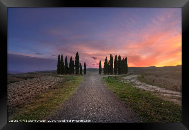 The circle of cypresses of Val d'Orcia, Tuscany Framed Print by Stefano Orazzini