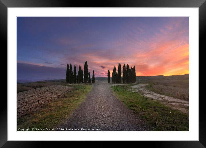 The circle of cypresses of Val d'Orcia, Tuscany Framed Mounted Print by Stefano Orazzini