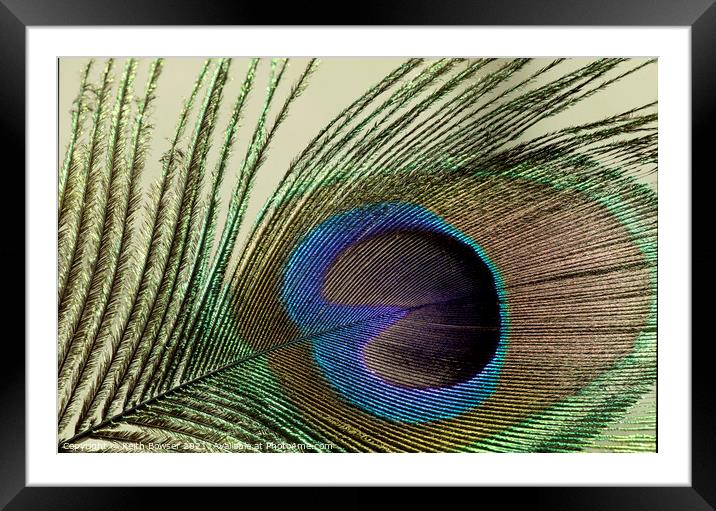 Peacock feather close-up Framed Mounted Print by Keith Bowser
