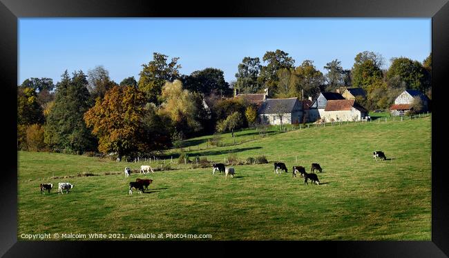 Colors of Autumn Landscape. Normandie Domfront .  Framed Print by Malcolm White